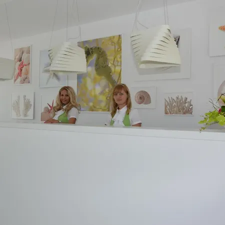 호텔 Melodia 비너스