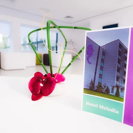 Hotel Melodia 4*
